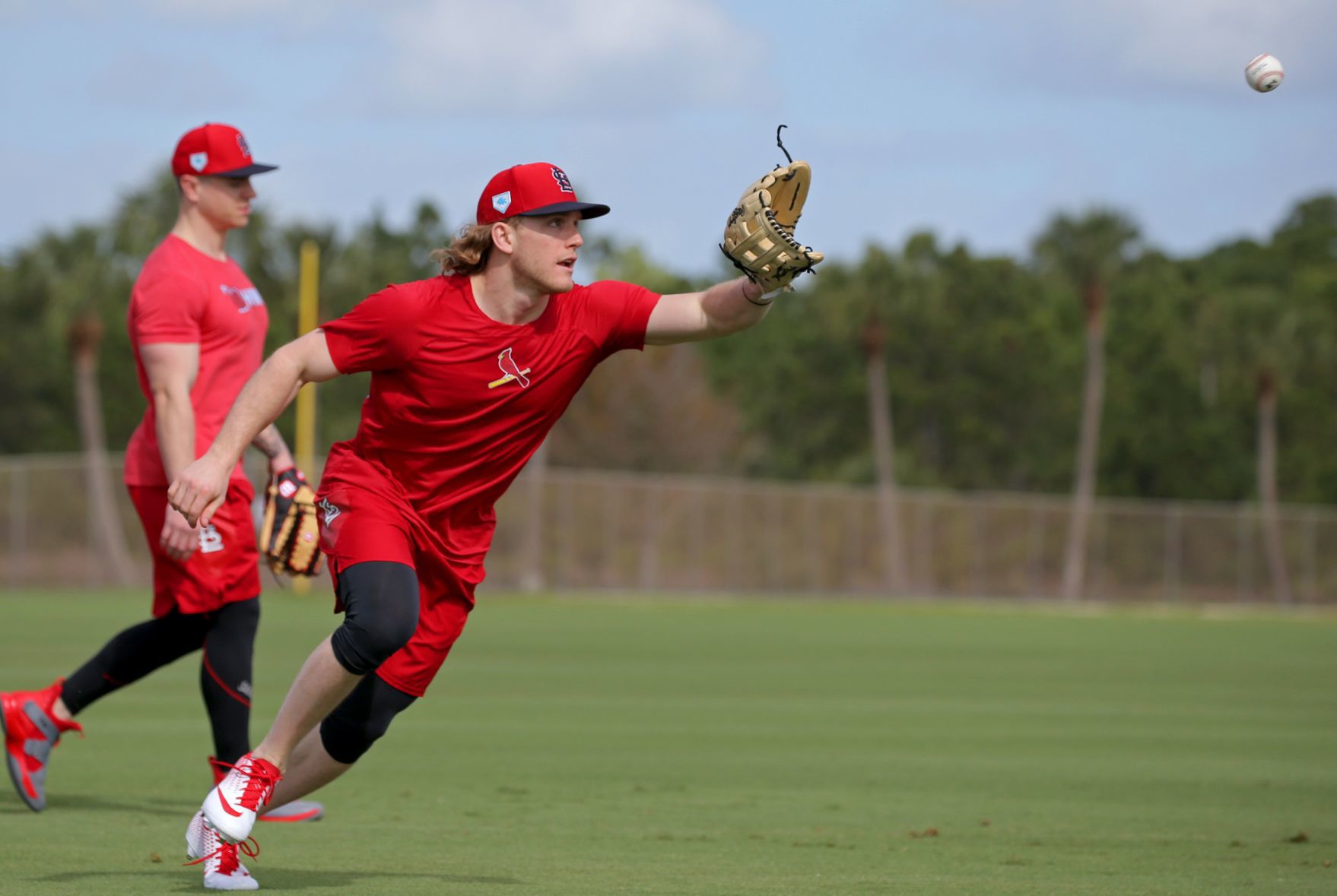 Cardinals spring training continues